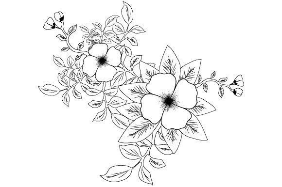 Black and White Floral: Premium Graphics for Modern Illustrations