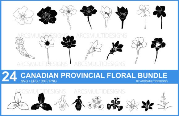 Canadian Provincial Floral Svg Bundle: Graphics & Illustrations Review