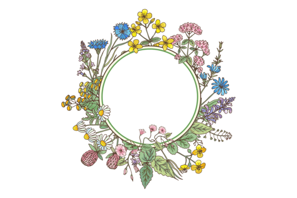 Decorative Floral Frame. Natural Herb Ro Graphics & Illustrations
