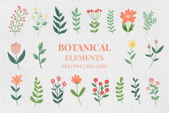 Floral Clipart Set: Premium Graphics & Illustrations for Local Brands