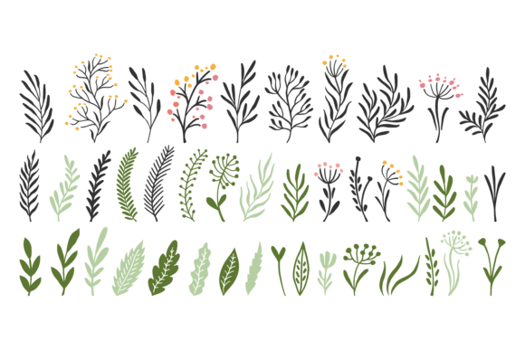 Floral Elements Set. Green Plant Branche Graphics and Illustrations