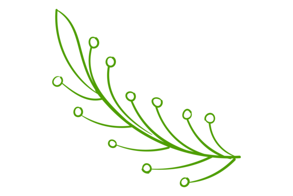Green Branch Graphics: Hand Drawn Ornament for Illustrations
