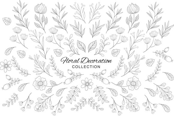 Hand Draw Floral Decoration Graphics & Illustrations Review