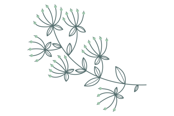Hand Drawn Botany: Decorative Floral Graphics & Illustrations Review