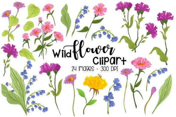 Wild Flower Clipart - Floral Clip Art Graphics & Illustrations